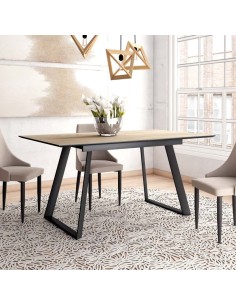 Mesa Tolix Rectangular...