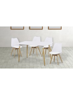 Conjunto Dinamarca 2