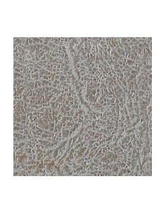 BUTACA RELAX MENFIS 2